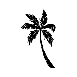 Palm Trees Vector - OurGFX